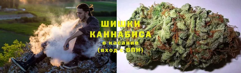 Конопля OG Kush  Волчанск 